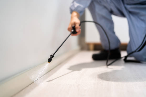 Certified termite inspector examining foundation in Braidwood