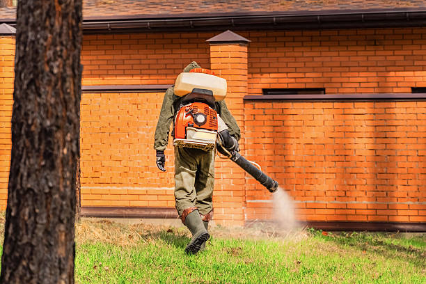 Top rated local Wasp Removal specialists in Braidwood, IL